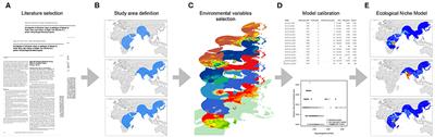 Nairobi Sheep Disease Virus: A Historical and Epidemiological Perspective